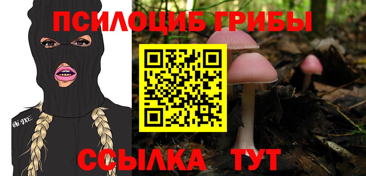 Псилоцибиновые грибы Cubensis  Галлюциногенные грибы прущие грибы  закладка  Мытищи  Вход с VPN 